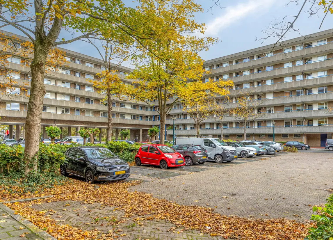 Aert Van Neslaan 233