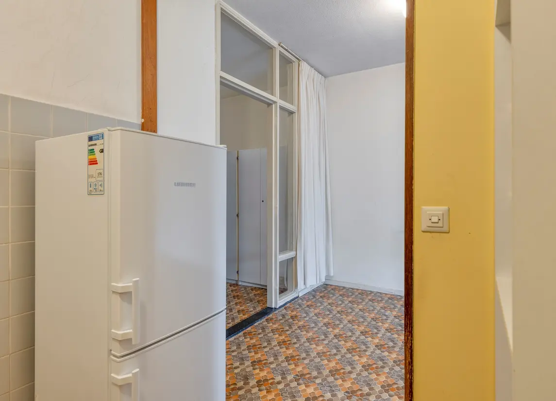 Aert Van Neslaan 233