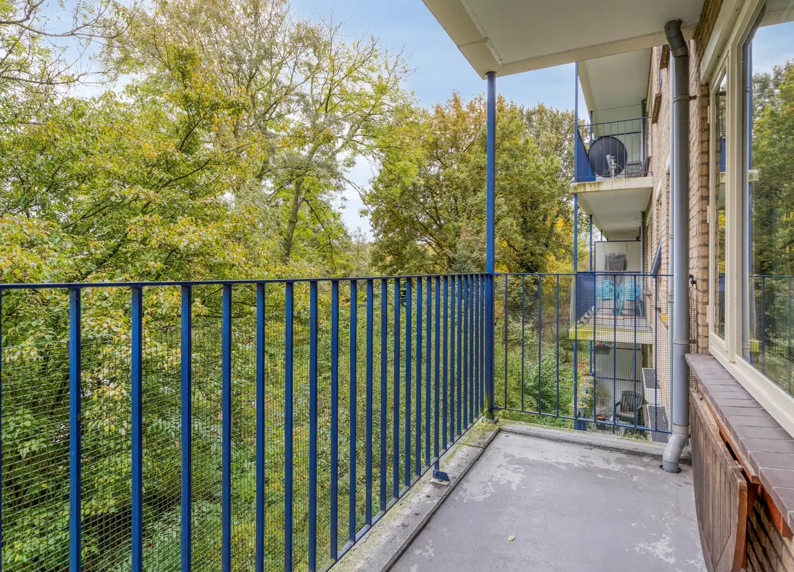 Aert Van Neslaan 233