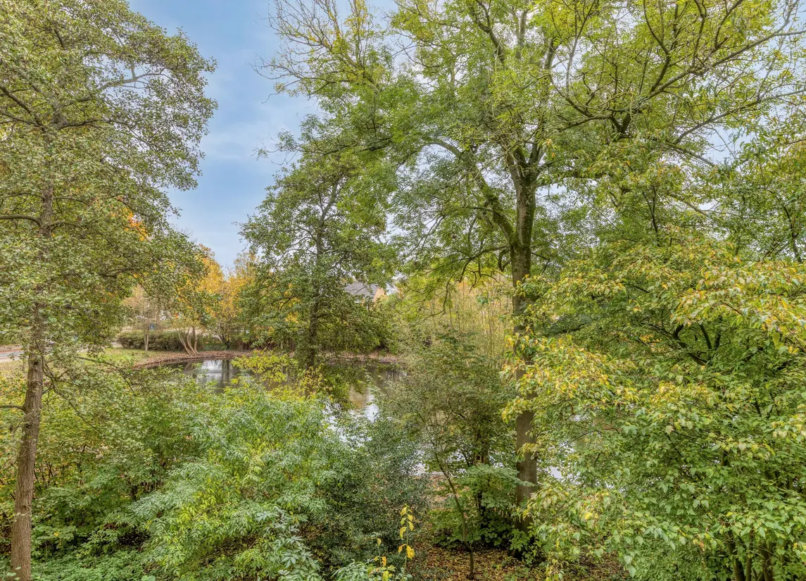 Aert Van Neslaan 233