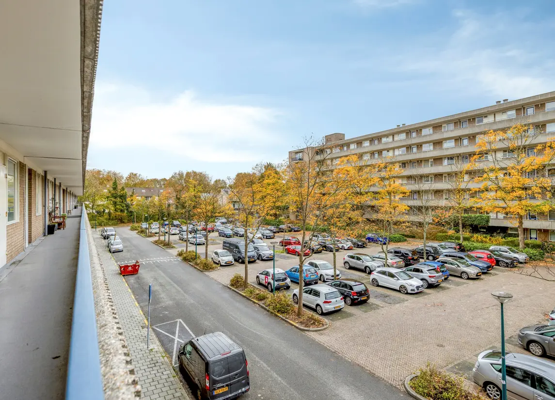 Aert Van Neslaan 233