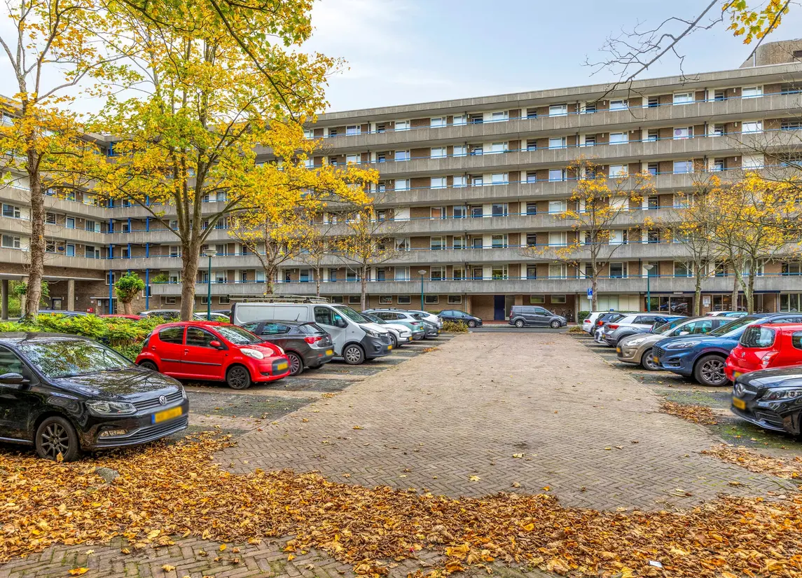 Aert Van Neslaan 233