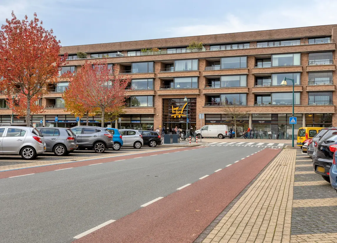 Aert Van Neslaan 233