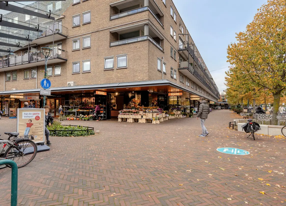 Aert Van Neslaan 233