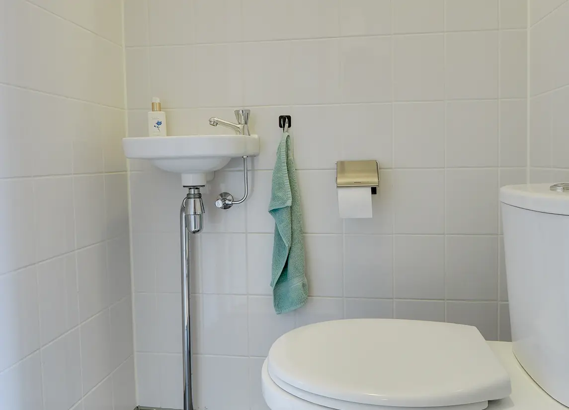 Loevenhoutsedijk 321