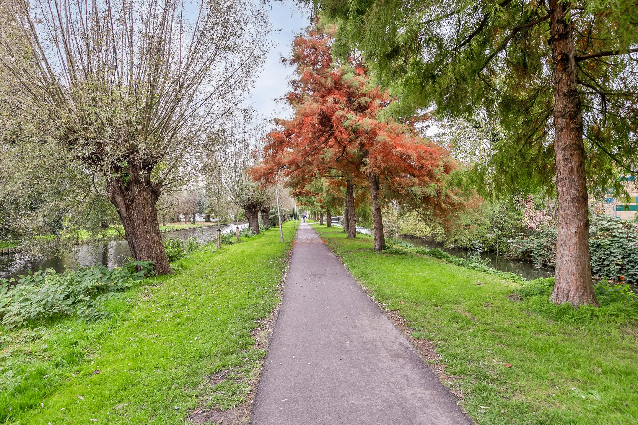 Dr Schaepmanstraat 55