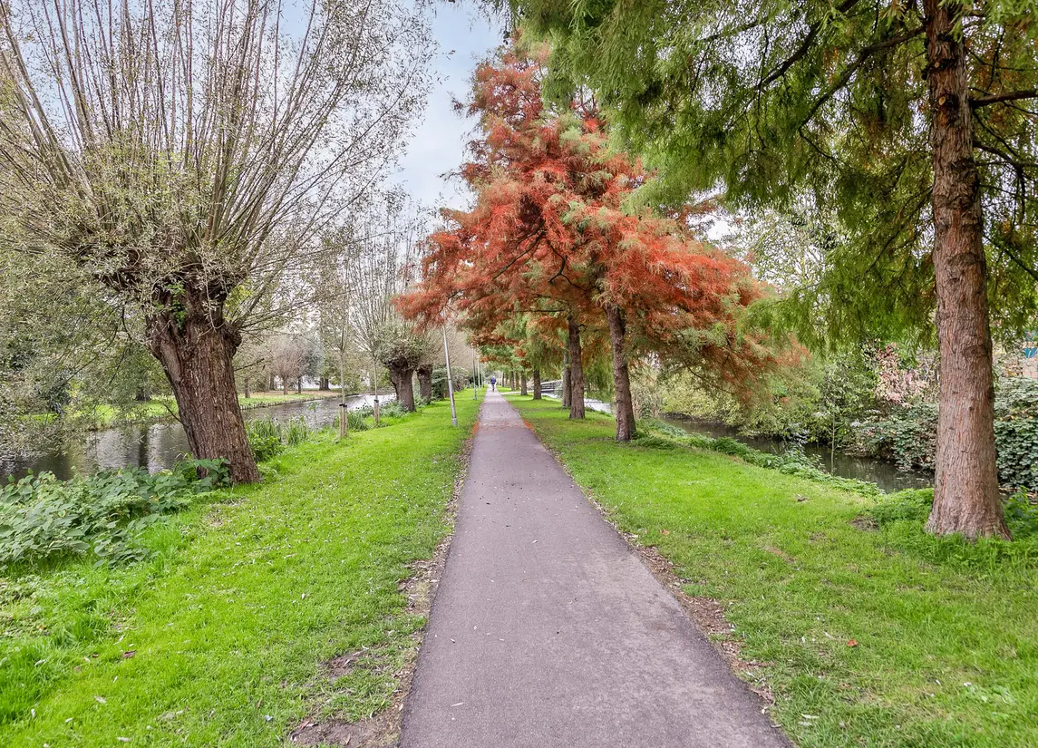 Dr Schaepmanstraat 55