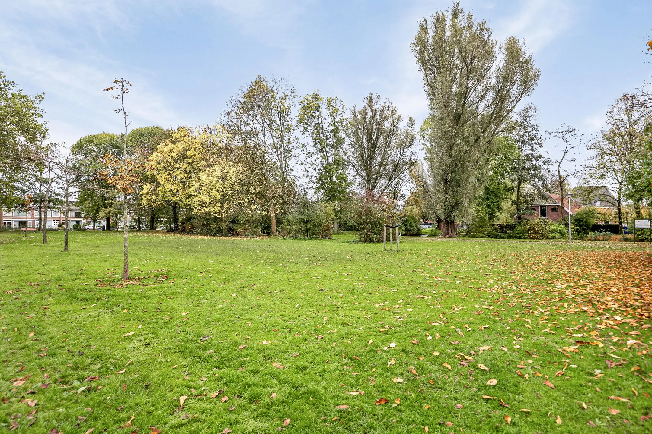 Dr Schaepmanstraat 55