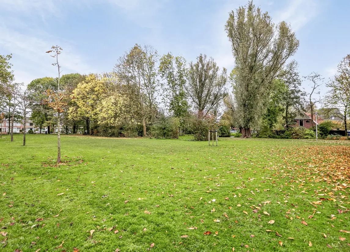 Dr Schaepmanstraat 55