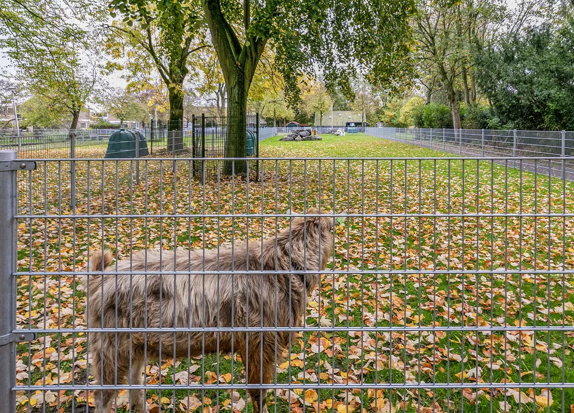 Dr Schaepmanstraat 55