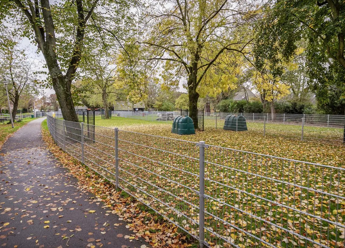 Dr Schaepmanstraat 55