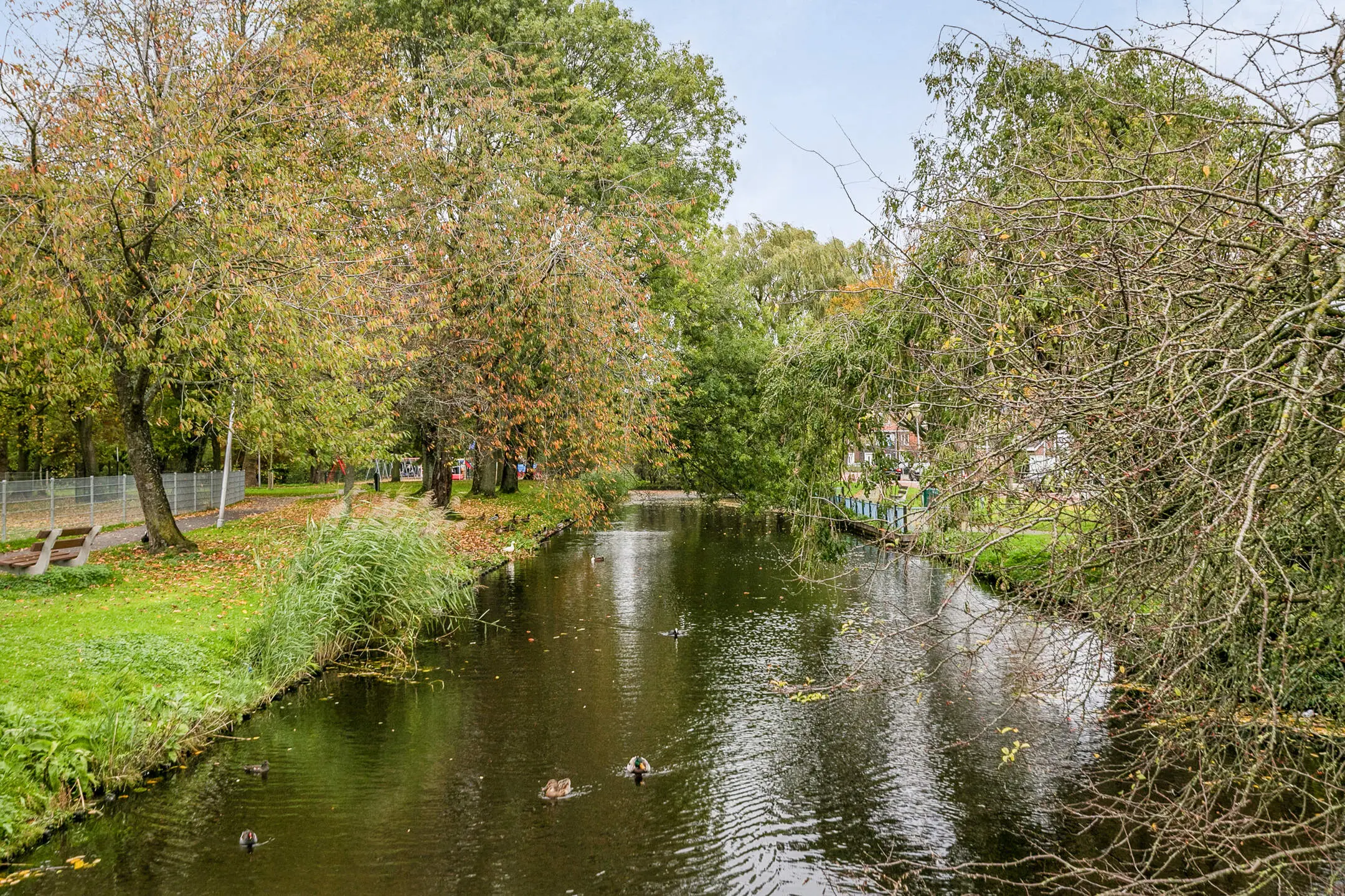 Dr Schaepmanstraat 55