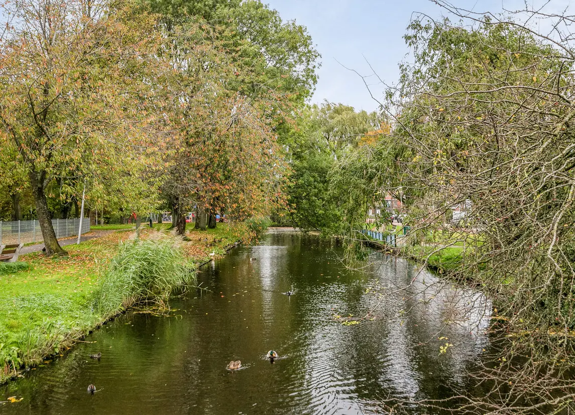 Dr Schaepmanstraat 55