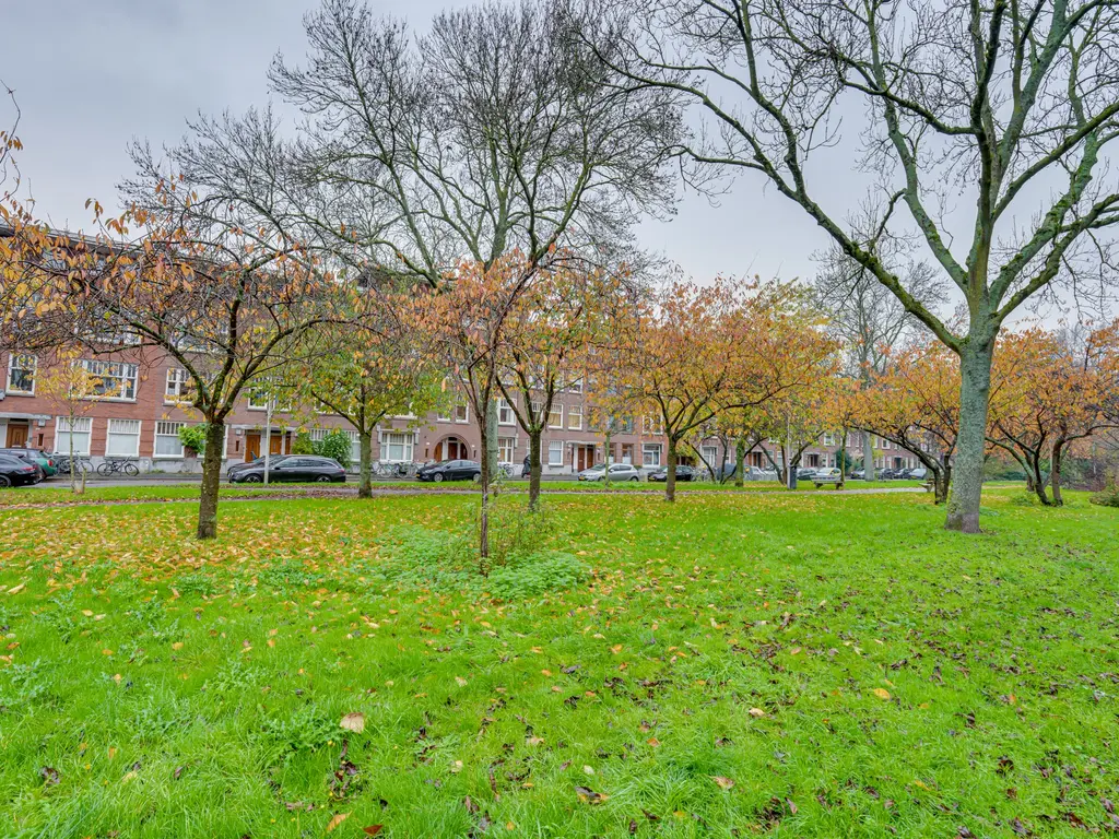 De Savornin Lohmanlaan 92B, Rotterdam