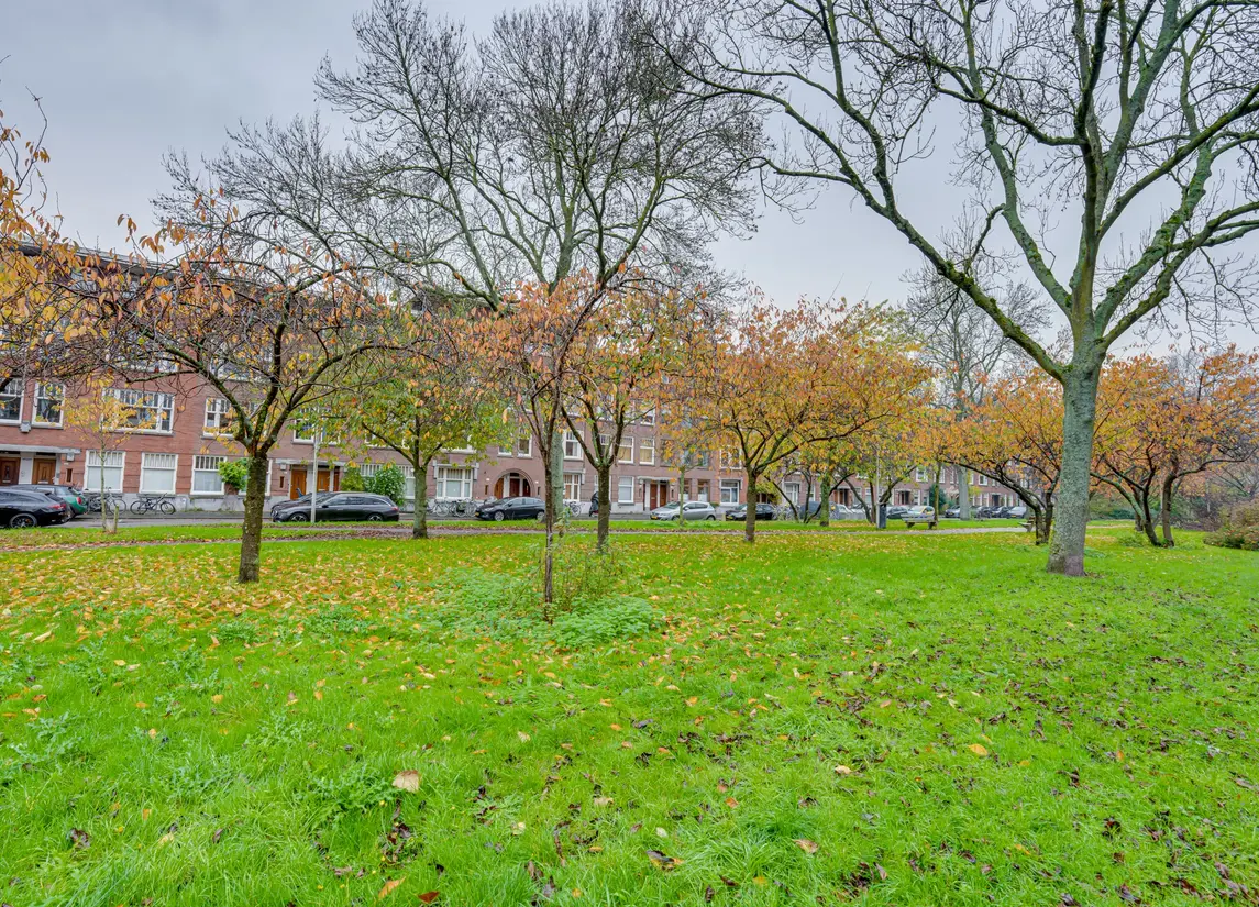 De Savornin Lohmanlaan 92B