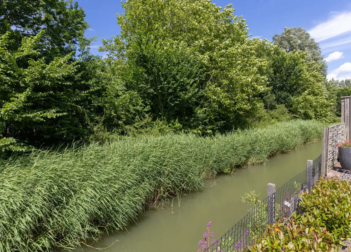 John Raedeckerhof 13