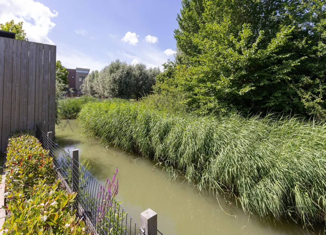 John Raedeckerhof 13