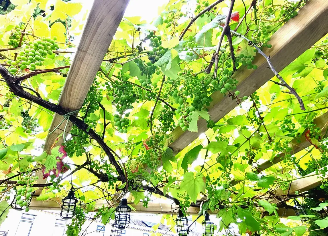 Theo van Doesburgstraat 87