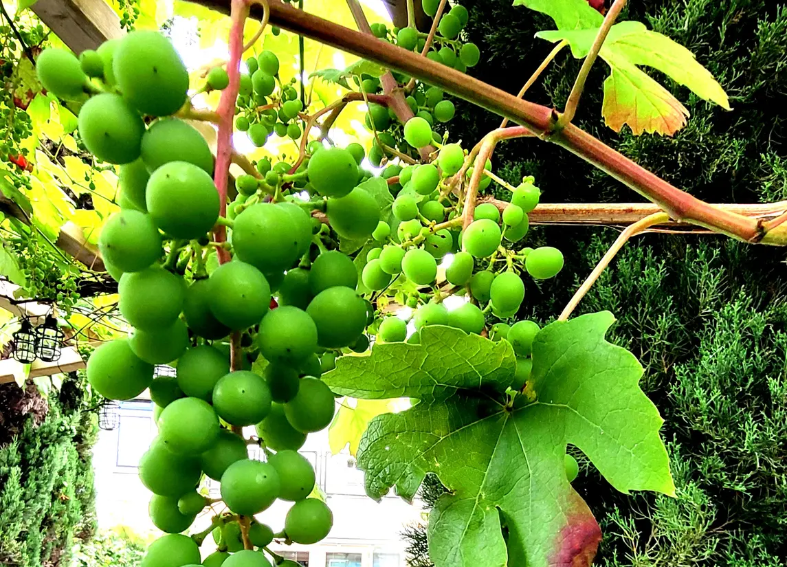 Theo van Doesburgstraat 87