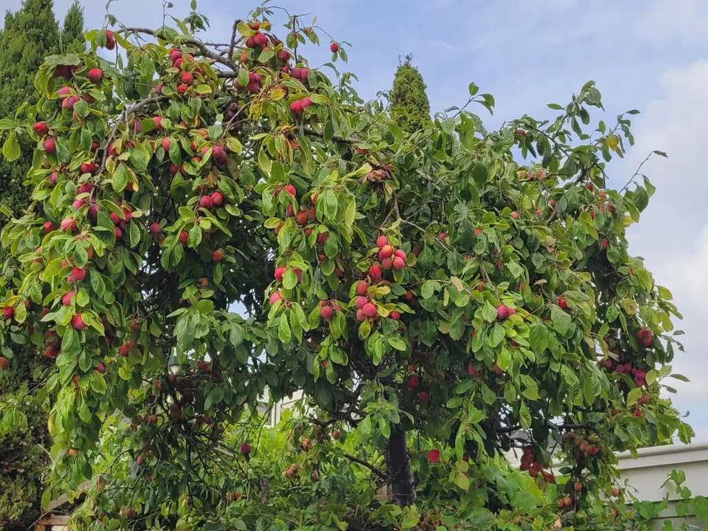 Theo van Doesburgstraat 87, UTRECHT