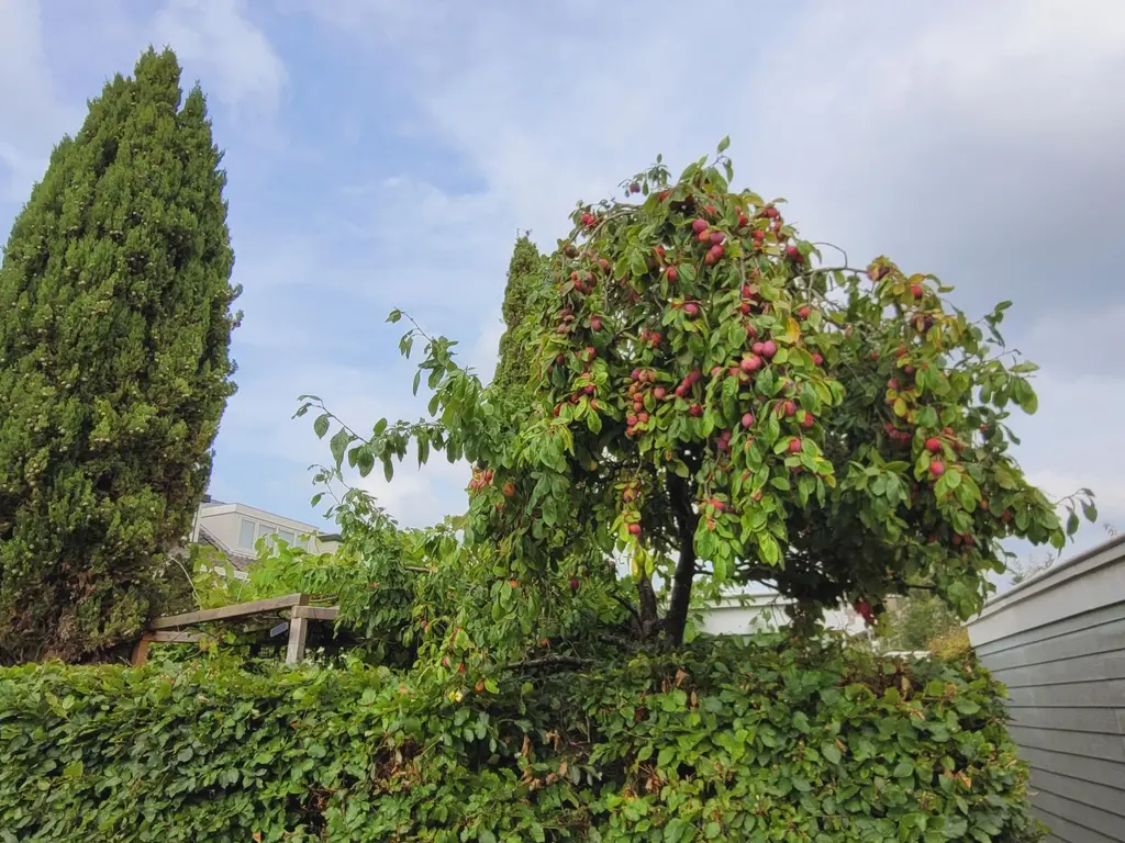 Theo van Doesburgstraat 87, UTRECHT