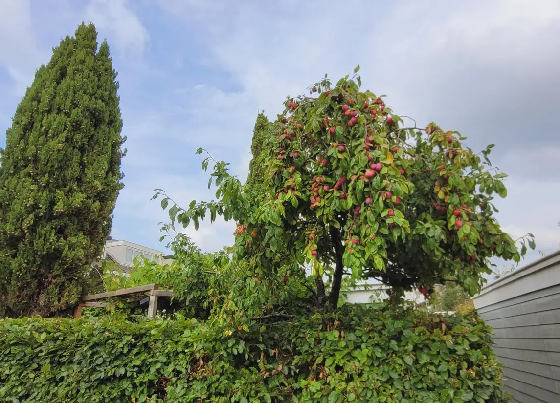 Theo van Doesburgstraat 87