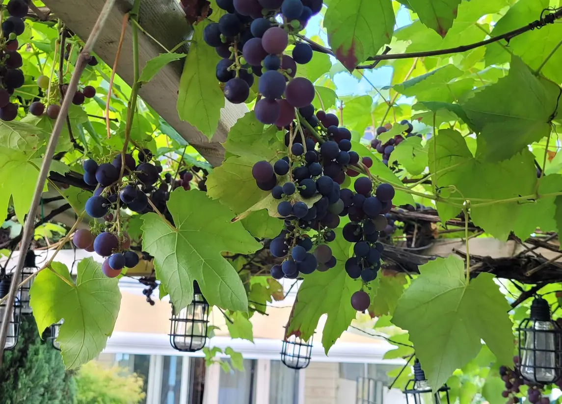 Theo van Doesburgstraat 87