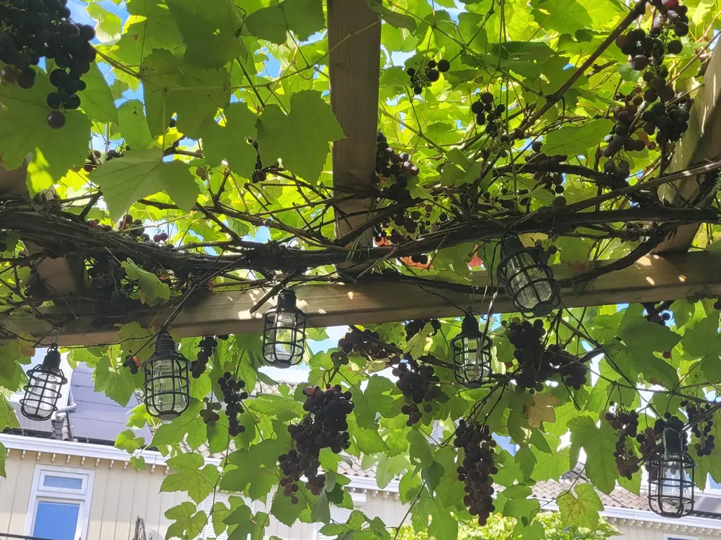 Theo van Doesburgstraat 87, UTRECHT