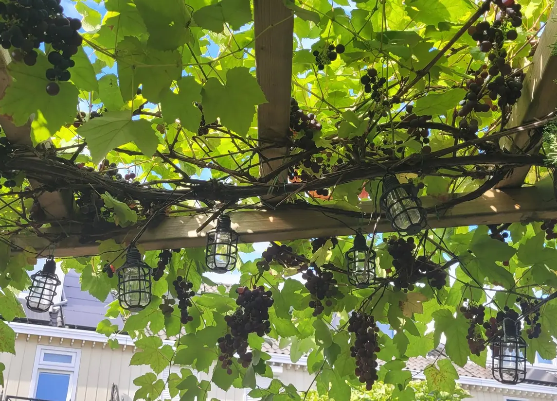 Theo van Doesburgstraat 87