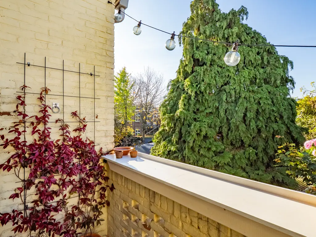 Johannes Uitenbogaertstraat 46BS, UTRECHT