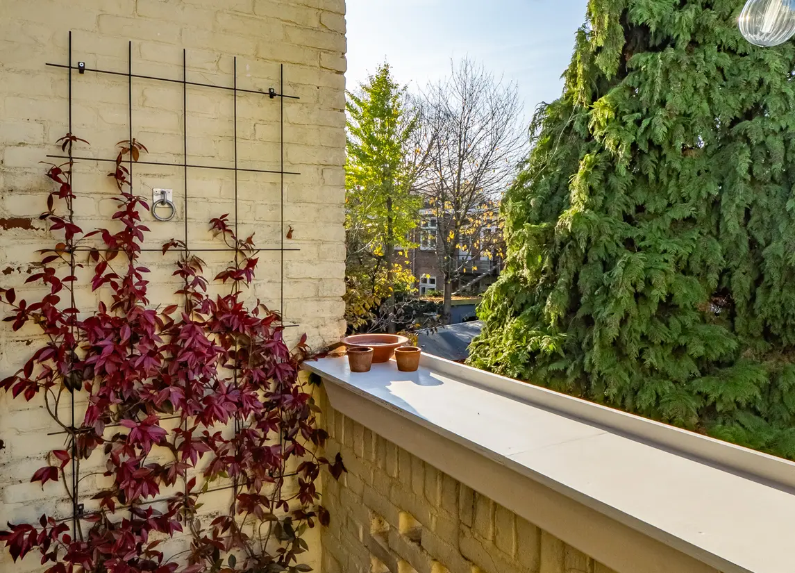 Johannes Uitenbogaertstraat 46BS