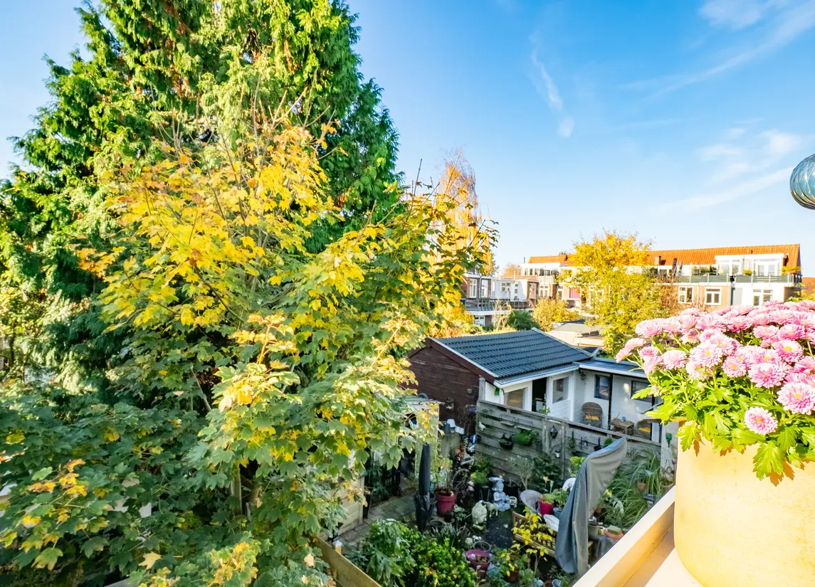 Johannes Uitenbogaertstraat 46BS