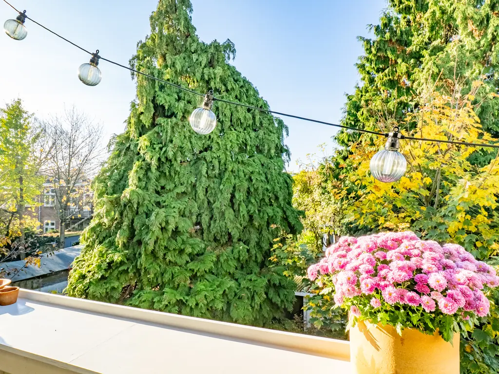 Johannes Uitenbogaertstraat 46BS, UTRECHT