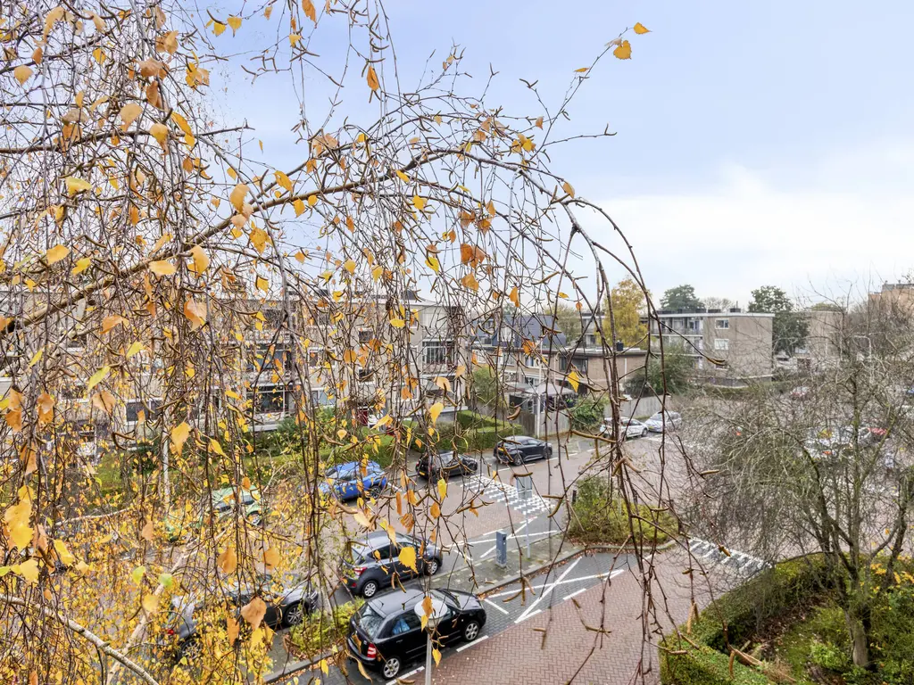 Jhr. De Savornin Lohmanstraat 36, RIDDERKERK