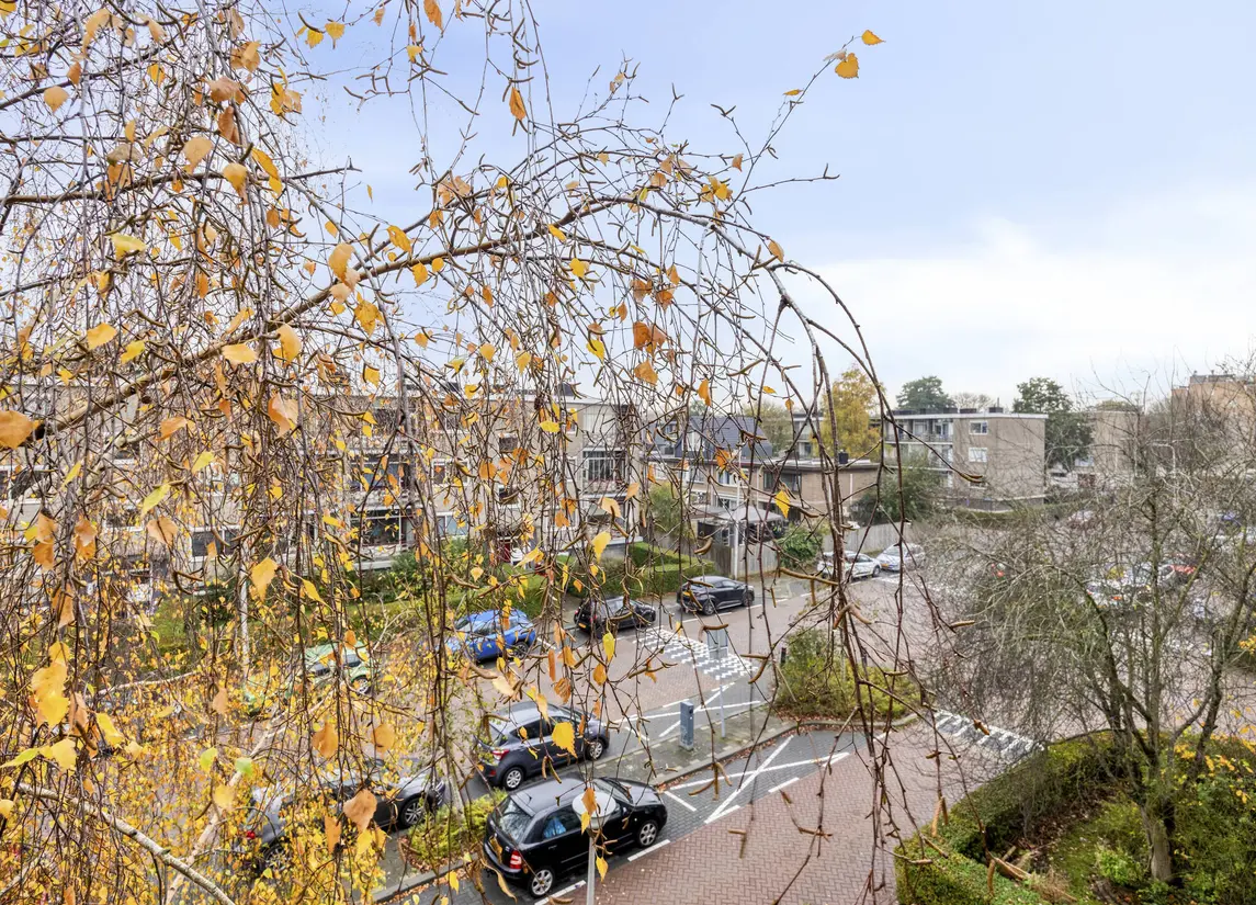 Jhr. De Savornin Lohmanstraat 36