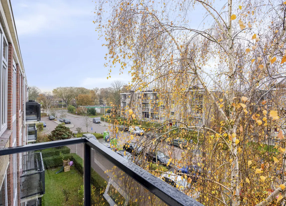 Jhr. De Savornin Lohmanstraat 36