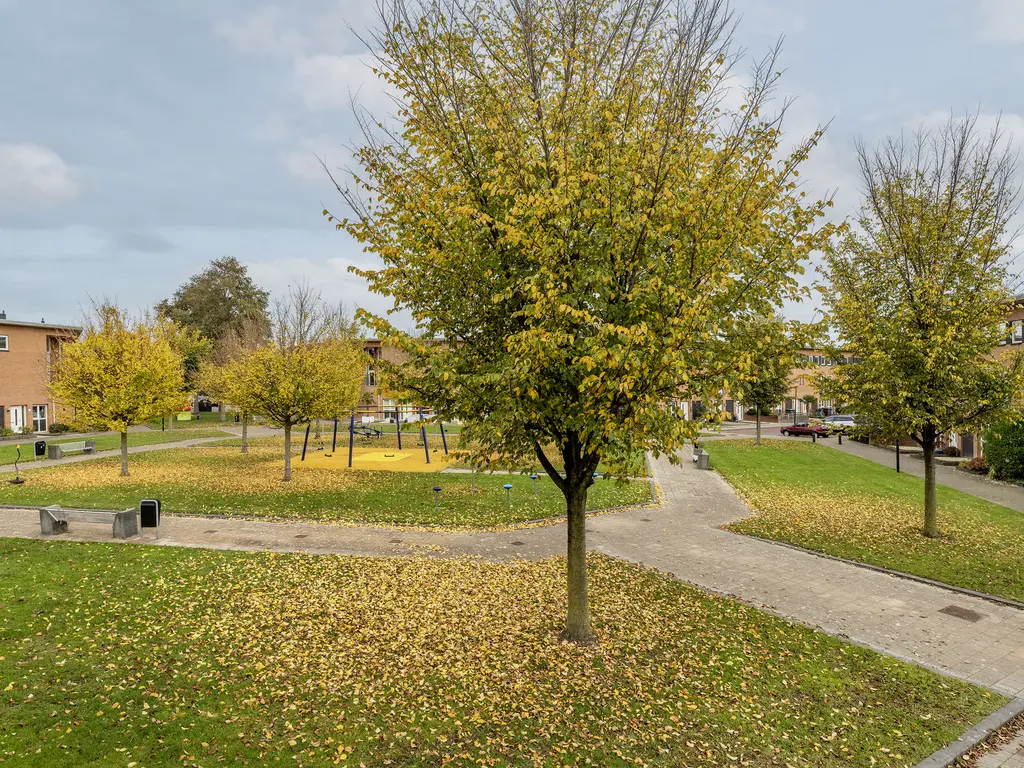 Essenwede 29, BARENDRECHT