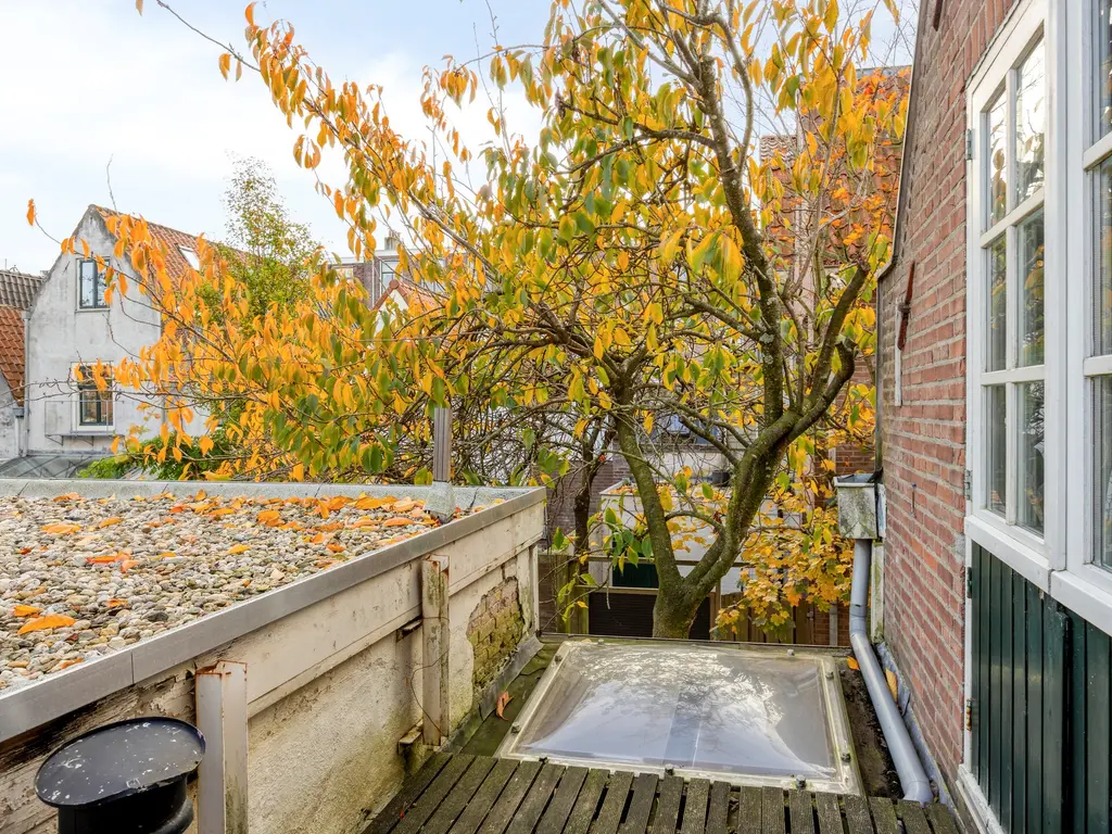 Rijnstraat 26, Leiden