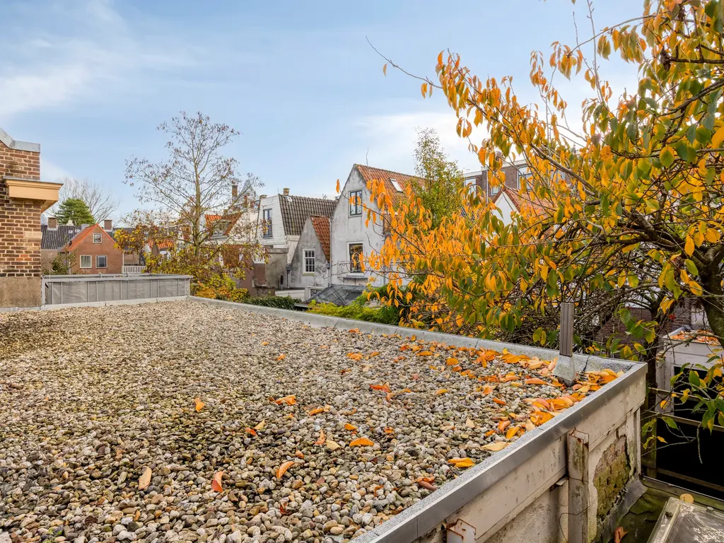 Rijnstraat 26, Leiden