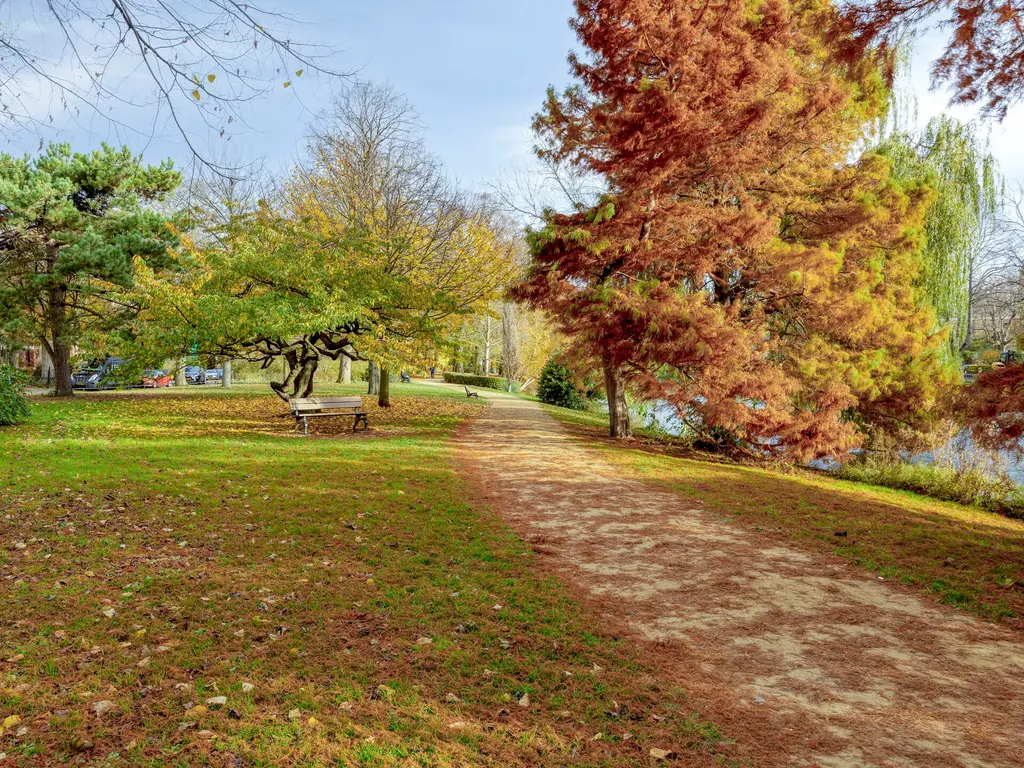 Rijnstraat 26, Leiden