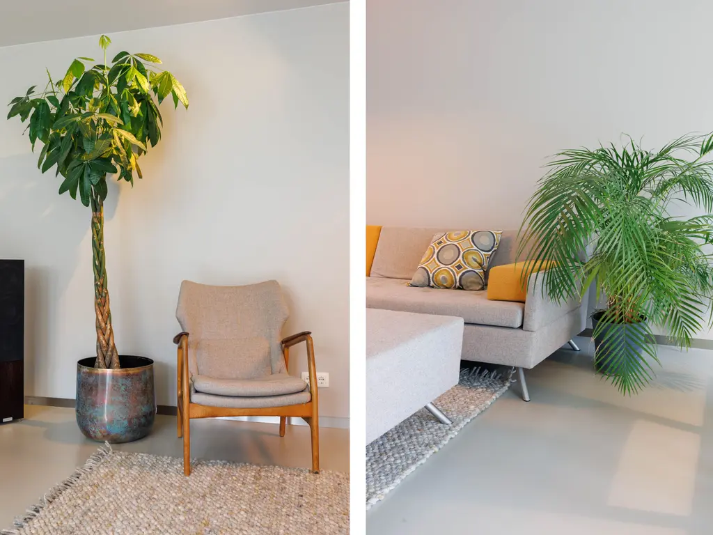 Ann Burtonstraat 12, Leiden