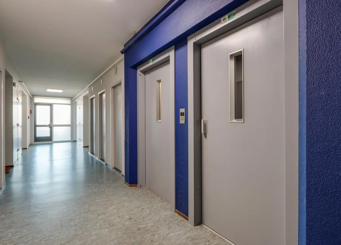 Graan voor Visch 16216