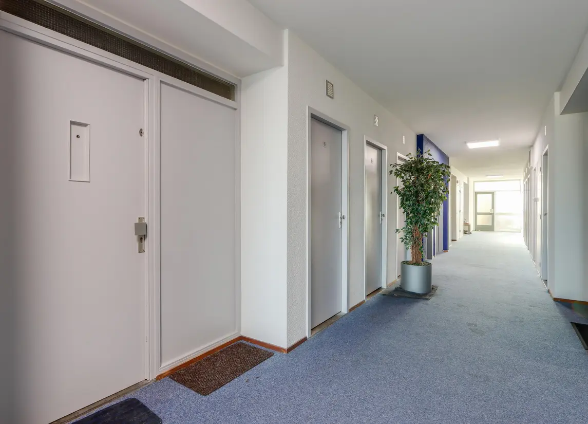 Graan voor Visch 16216