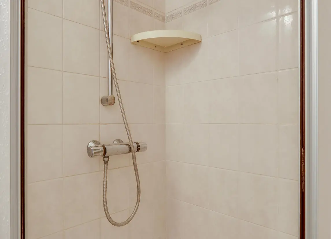 Graan voor Visch 16216