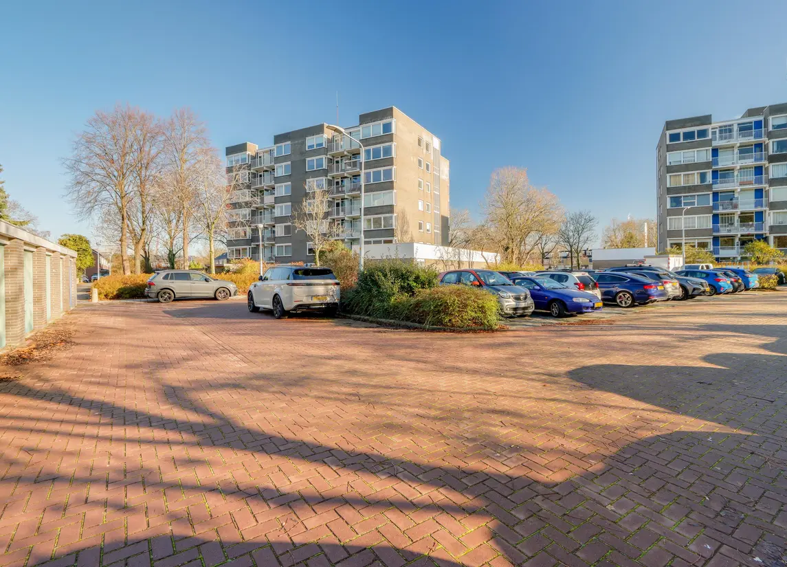 Graan voor Visch 16216