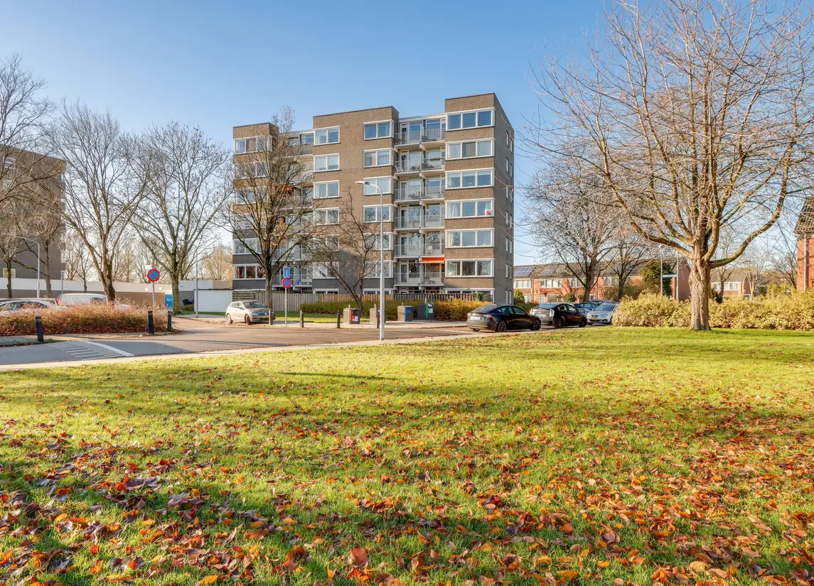 Graan voor Visch 16216