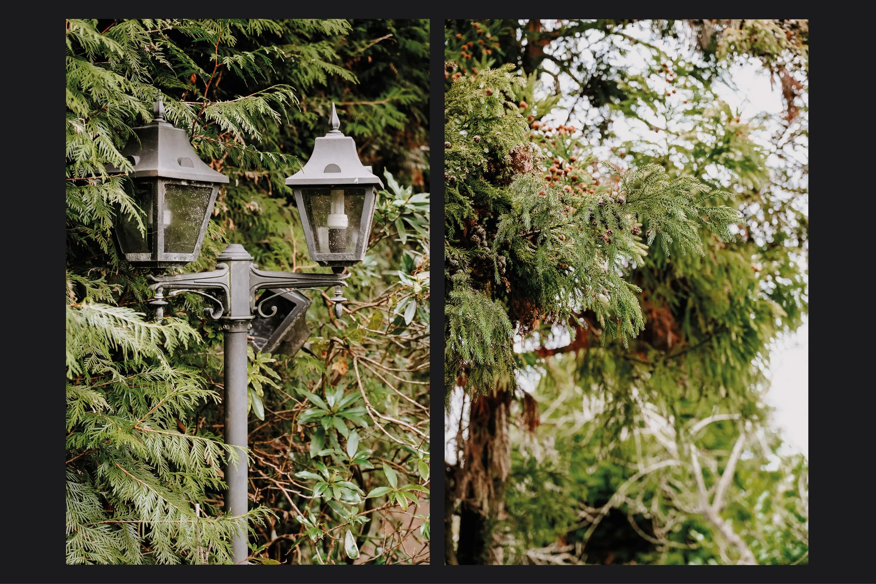 Sterkenburgerlaan 20