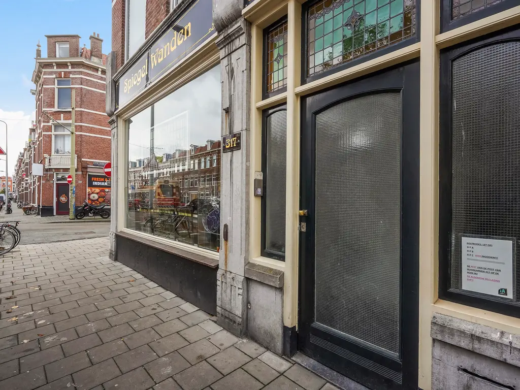 Regentesselaan 317B, Den Haag