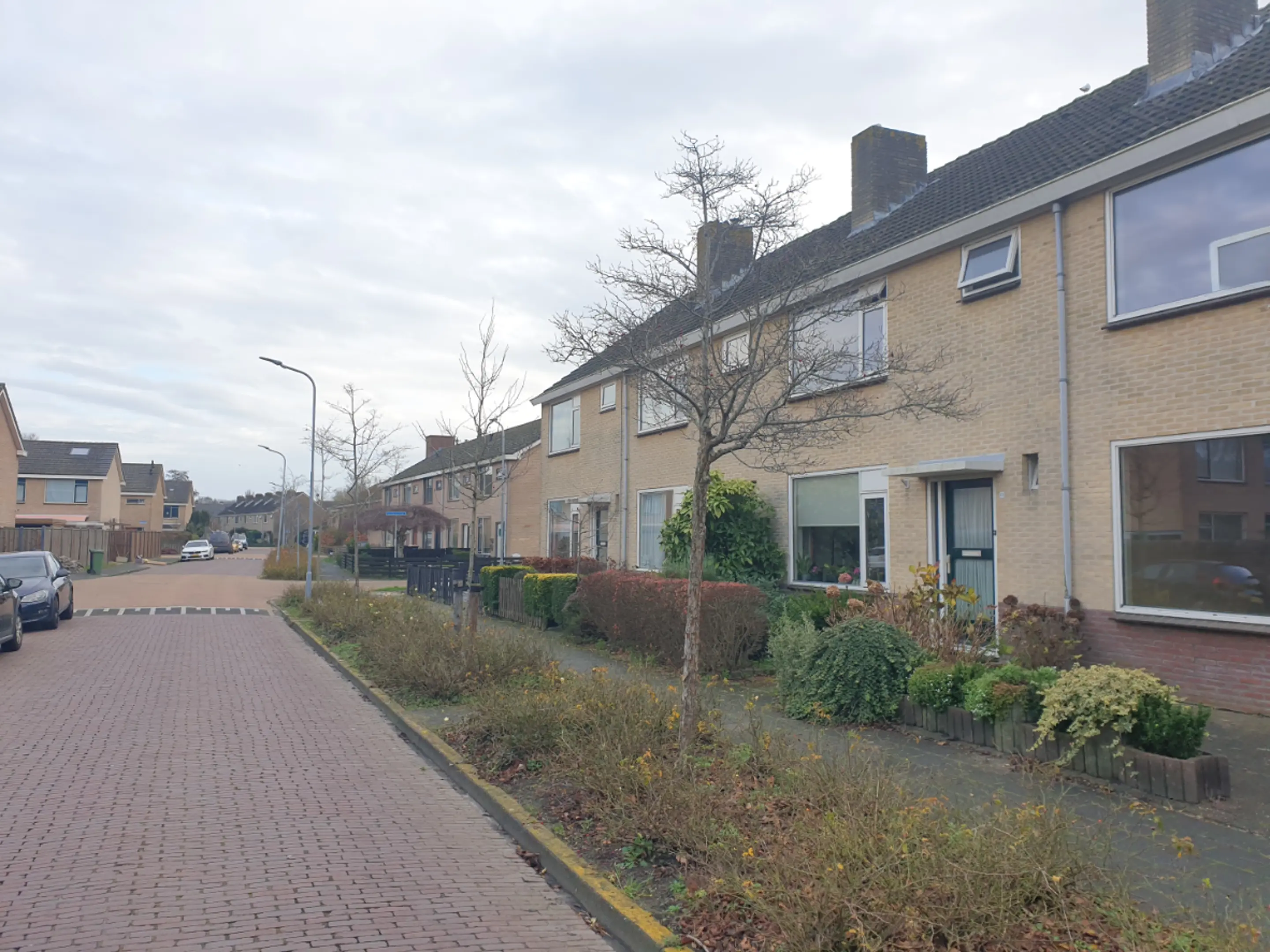 Meidoornstraat 10