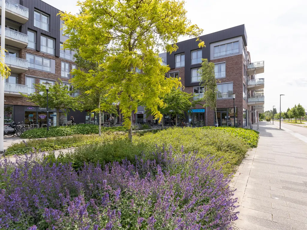 Jan Doustraat 22, Zwaag
